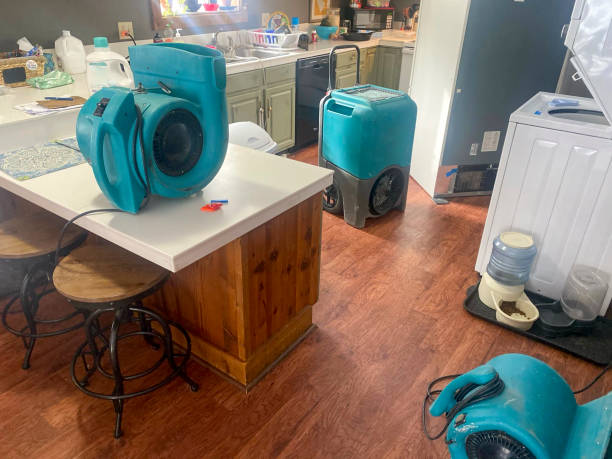  Aust, IN Water damage restoration Pros