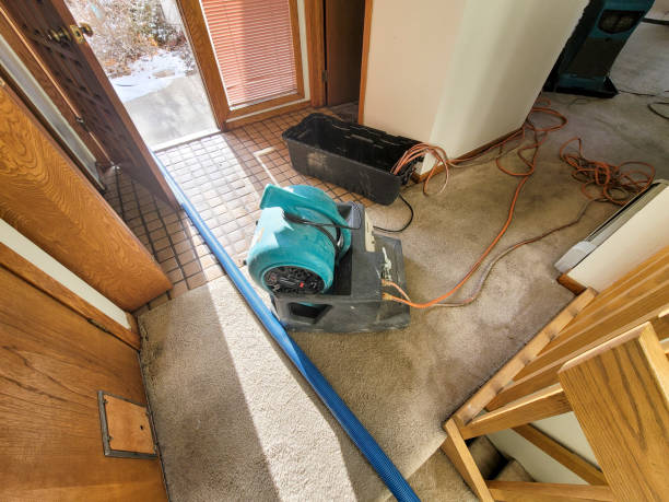 Best Basement water damage restoration  in Aust, IN