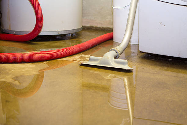 Best Commercial water damage restoration  in Aust, IN