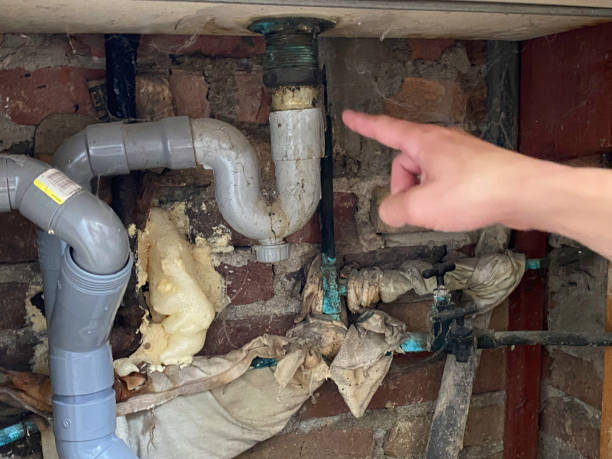 Water damage restoration experts in IN
