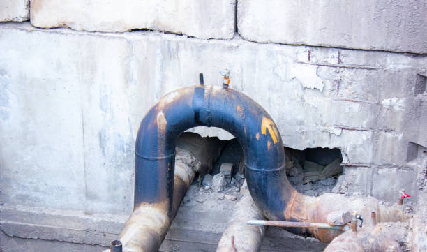 Best Carpet water damage restoration  in Aust, IN
