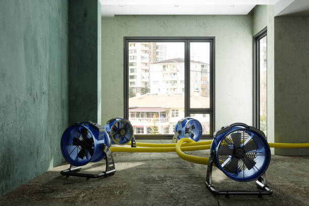 Best Residential water damage restoration  in Aust, IN
